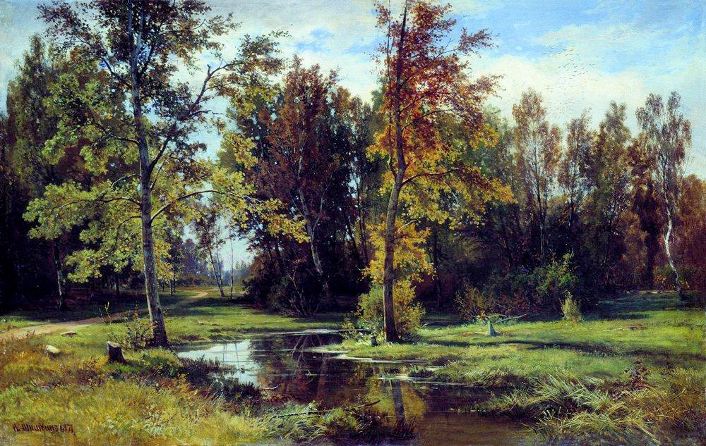 birch forest